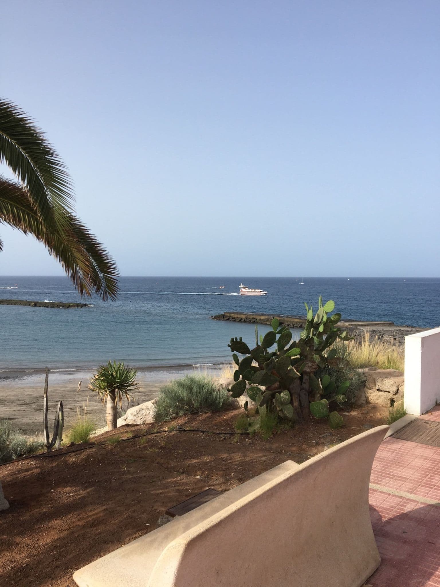Hangover and Running is a bad combo - views though 👌🏖