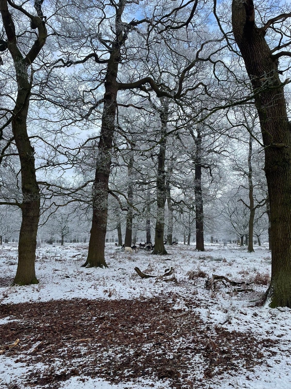 Dunham Massey