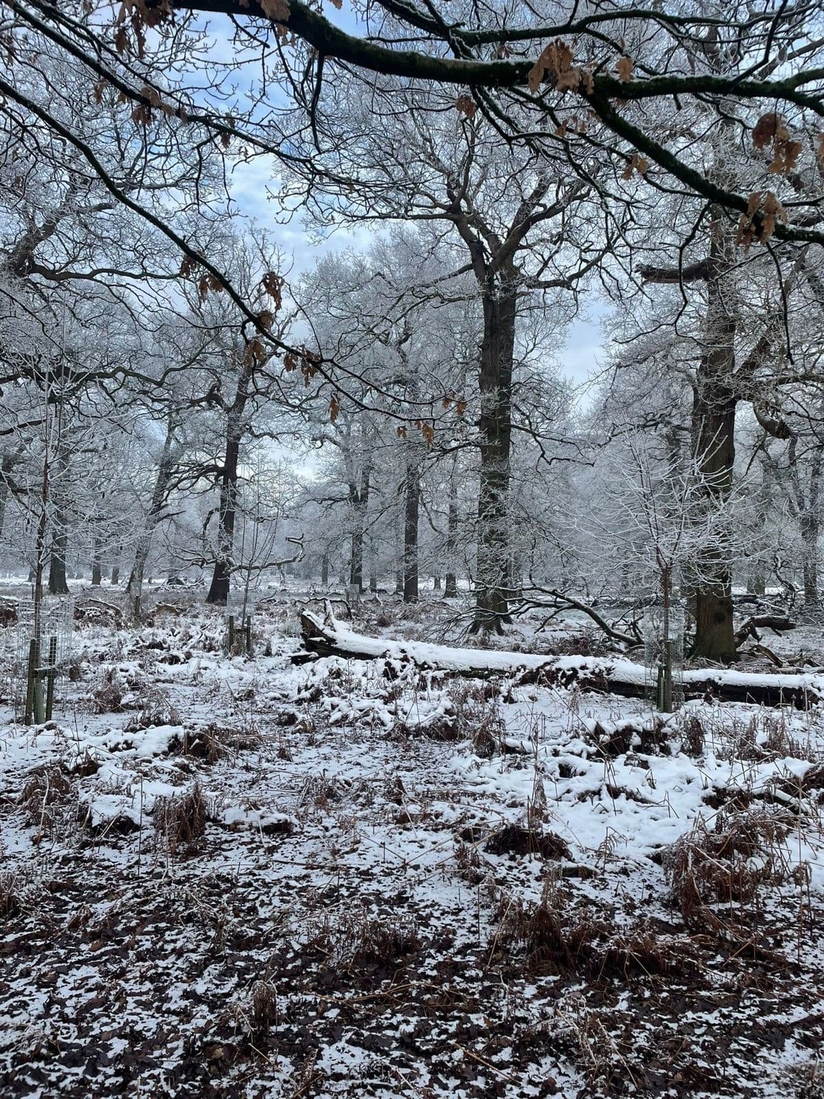 Dunham Massey